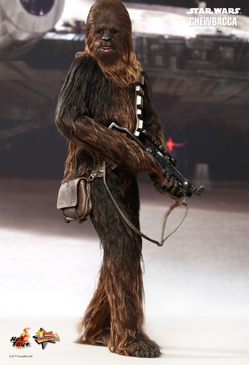 Illustration for article titled Hot Toys' first ever Star Wars figures are absolutely stunning